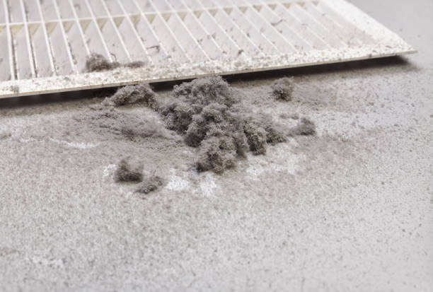Best Local Air Duct Cleaning Services  in Choudrant, LA