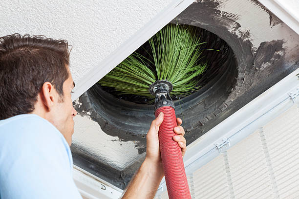 Best Professional Duct Cleaning Services  in Choudrant, LA
